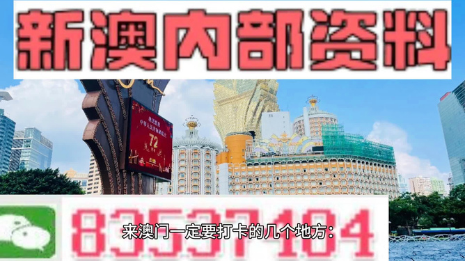 2025-2024全年新澳门与香港王中王正版|全面释义解释落实