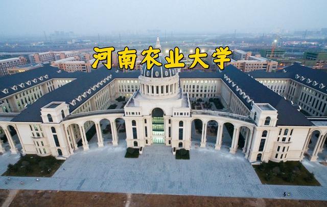 河南本科大学最新排名概览