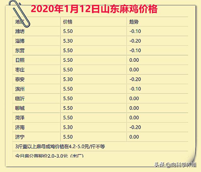 山东今天麻鸡最新价格动态及分析