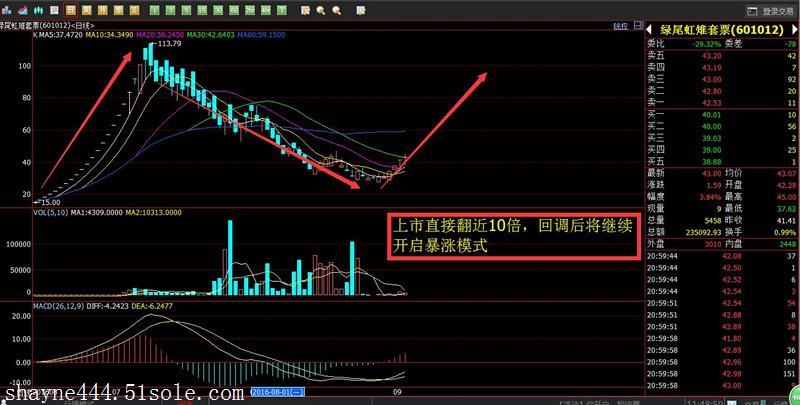 海西邮币卡最新消息，市场趋势、政策影响及未来发展展望