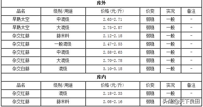 金乡山禄市场最新动态，繁荣背后的机遇与挑战